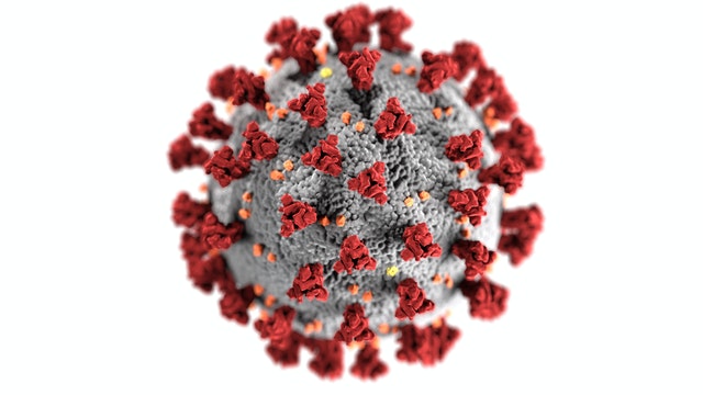 Image of COVID-19 virus